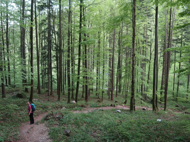 Sabine zwischen Sattelhalt und In der Krems