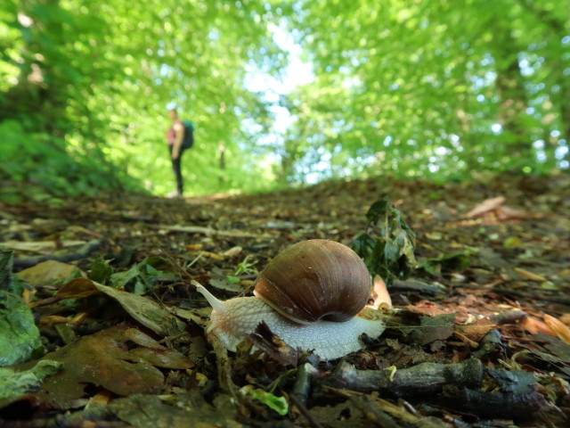 Sabine zwischen Brunnhof und Laas