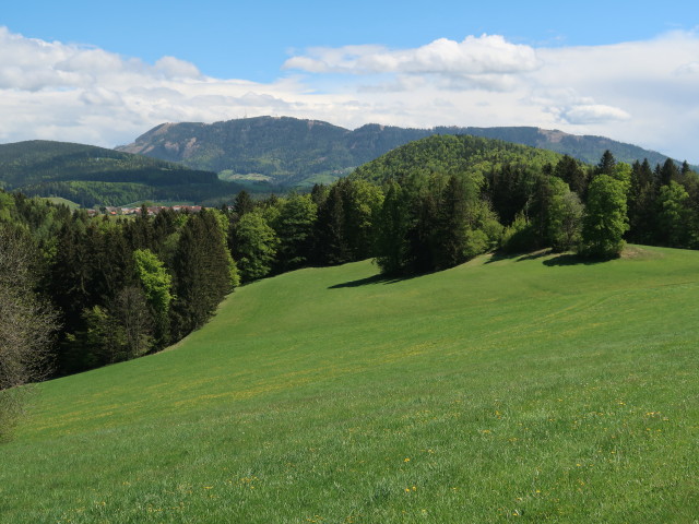 zwischen Mitterdorf am Trötsch und Schönegg