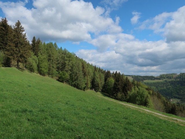 zwischen Topenauer und Schankkogel