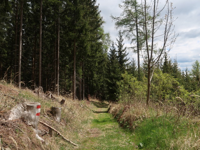 zwischen Fuchskogel und Schenkenberg