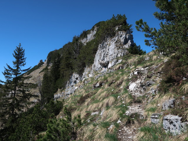 zwischen Schmittenstein und Bergalm