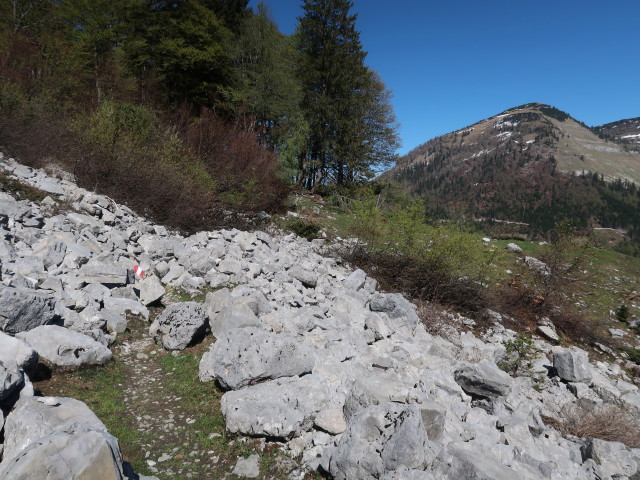zwischen Gruberhorn und Genneralm