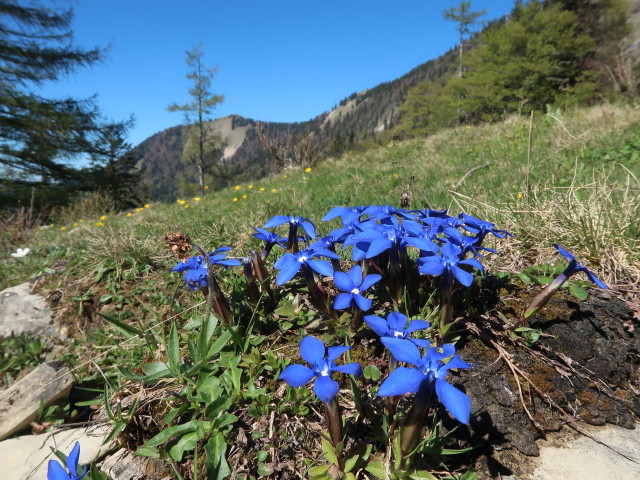 zwischen Genneralm und Lämmerbach