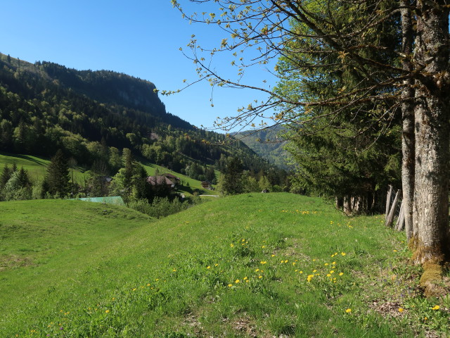 zwischen Genneralm und Lämmerbach