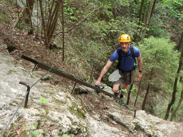 Waldegger Steig: Herbert