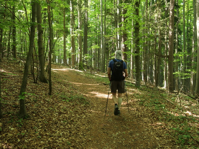 Herbert zwischen Saugraben und Waldegger Haus