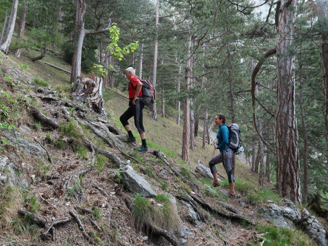 Josef und Ursa zwischen Rechenbrücke und Kombinationsweg