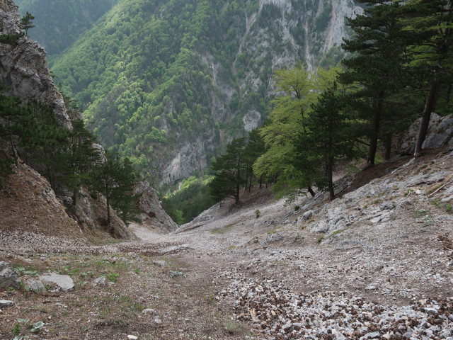 zwischen Kombinationsweg und Rechenbrücke