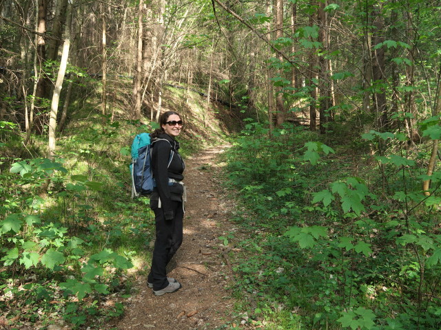 Sabine zwischen Balbersdorf und Balbersteine