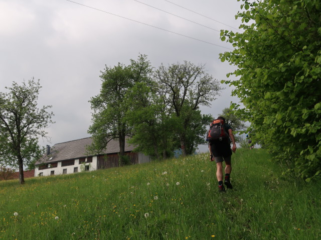 Ronald zwischen Ambros und Erlerkapelle