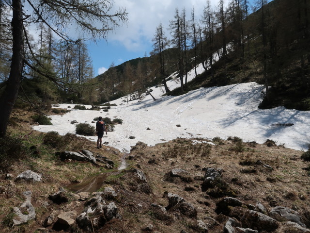 Ronald zwischen Stubwiesalm und Stubwieswipfel