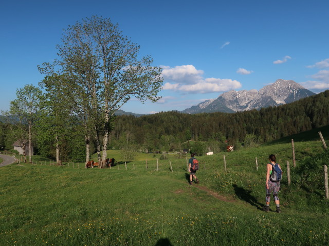 Ronald und Ursa zwischen Tommerlalm und Gasthaus Tommerl