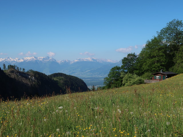 zwischen Millrütte und Götzner Haus (21. Mai)