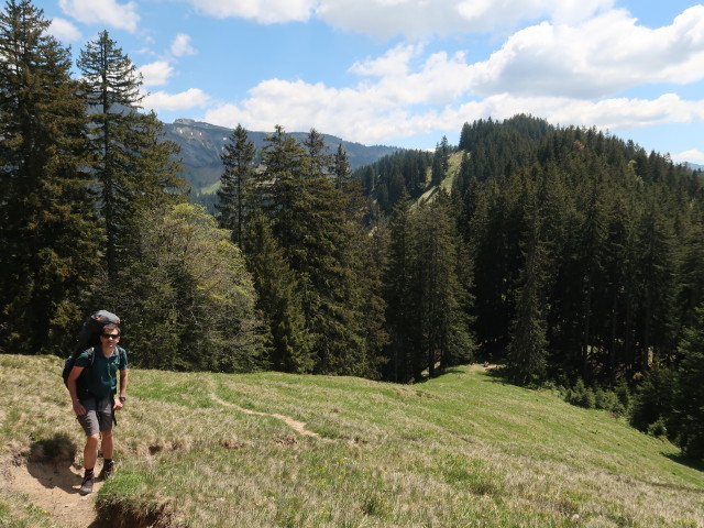 Ronald zwischen Schwammalpe und Dümelekopf (21. Mai)