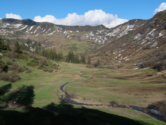 zwischen Gävishöhe und Sünsalpe (21. Mai)