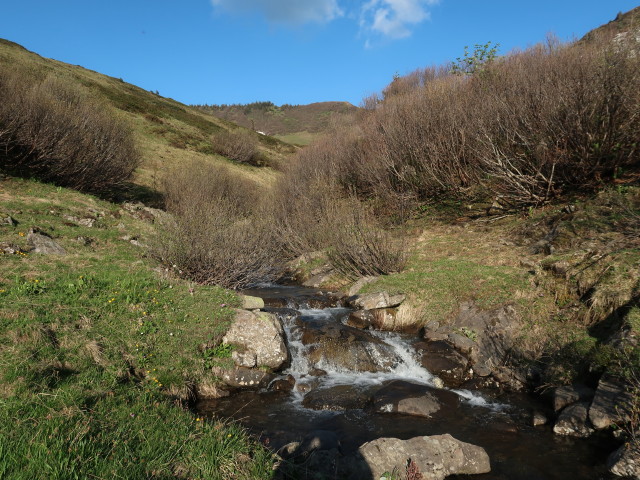 zwischen Gävishöhe und Sünsalpe (21. Mai)