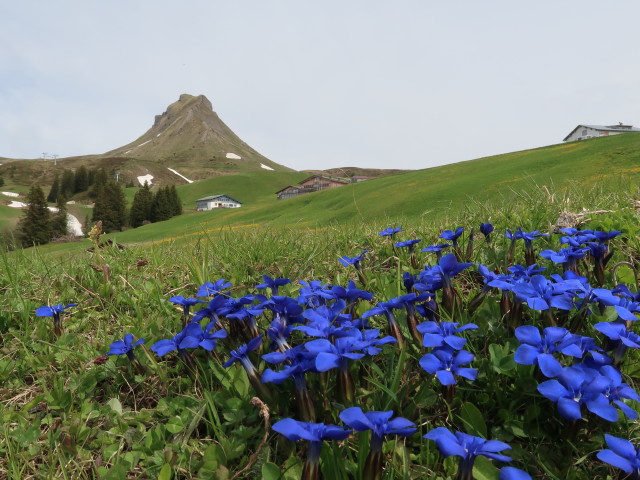 Vordere Ugaalpe (22. Mai)