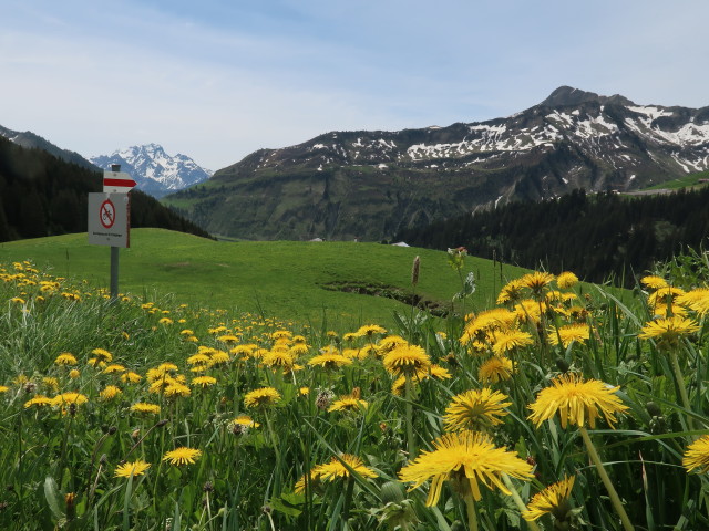 zwischen Gasthof Walisgaden und Uga (22. Mai)