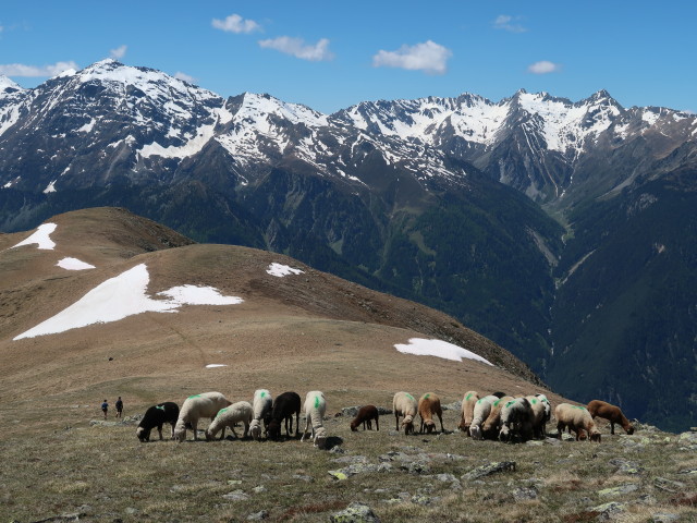 zwischen Poschachkogel und Narrenkogel