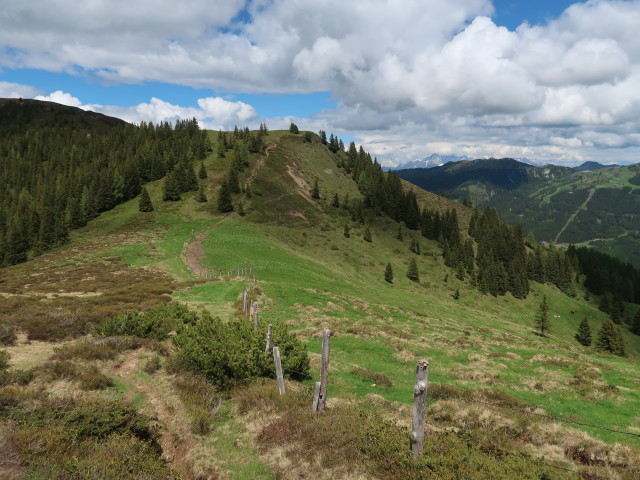 zwischen Gabel und Penkkopf (11. Juni)