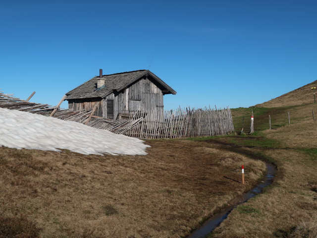 zwischen Roßfeldeck und Herrenköpfl (12. Juni)
