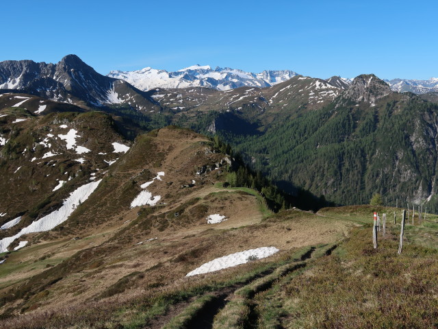 zwischen Roßfeldeck und Herrenköpfl (12. Juni)