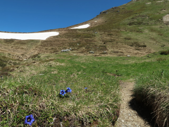 zwischen Filzmoossattel und Draugsteintörl (12. Juni)