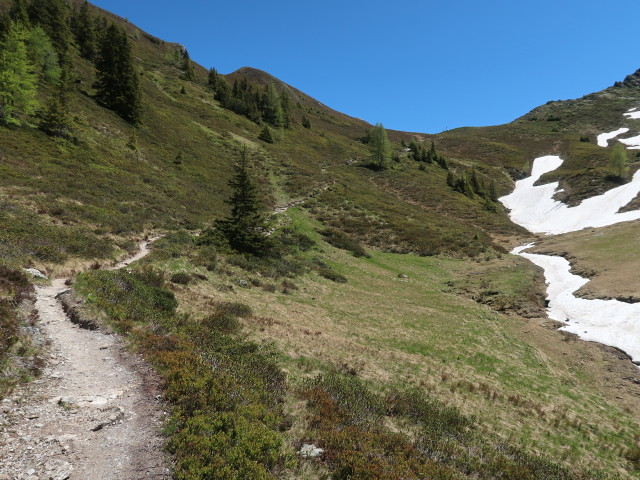 zwischen Filzmoossattel und Draugsteintörl (12. Juni)