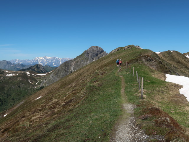 zwischen Karteiskopf und Gurenstein (12. Juni)