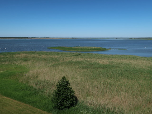 vom Linnuvaatlustorn Tagalahe ääres in Haapsalu Richtung Norden (23. Juni)
