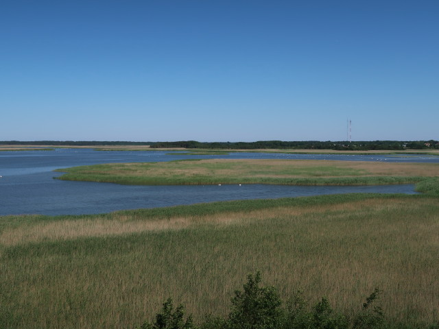 vom Linnuvaatlustorn Tagalahe ääres in Haapsalu Richtung Nordosten (23. Juni)