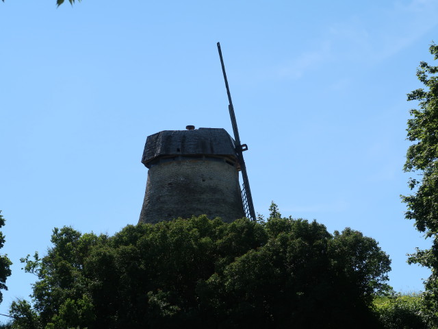 Vallimäe tuuleveski in Rakvere (24. Juni)