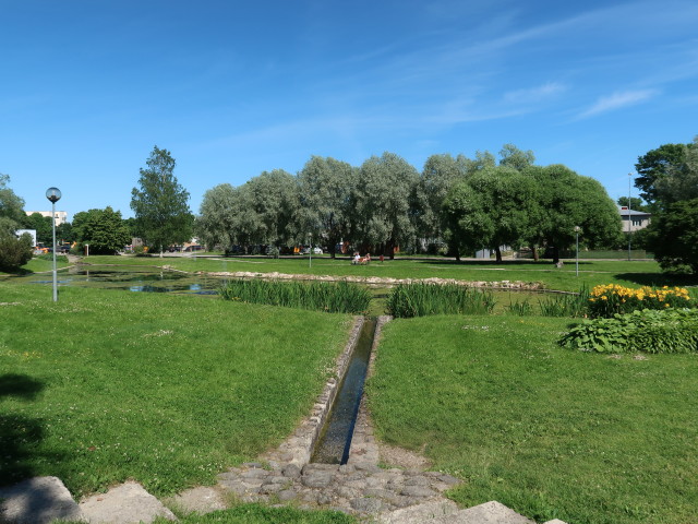 Kirikupargi tiik in Rakvere (24. Juni)