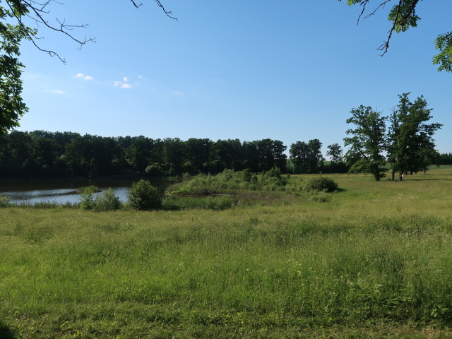 Sangaste Dendro Lossipark (25. Juni)