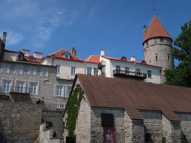 Stoltingi torn in Tallinn (27. Juni)