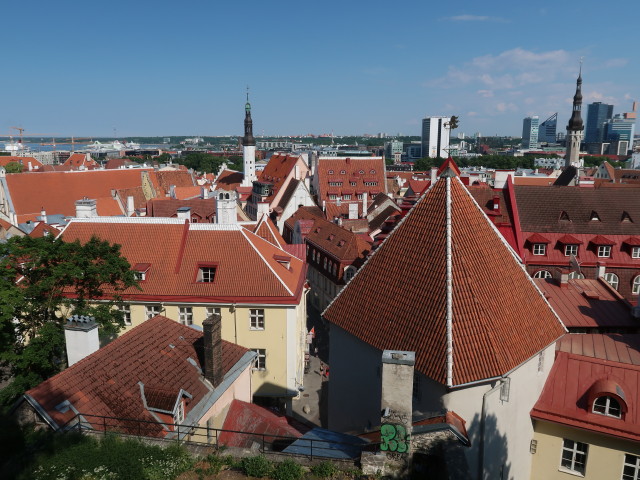 von der Kohtuotsa vaateplatvorm in Tallinn Richtung Osten (27. Juni)