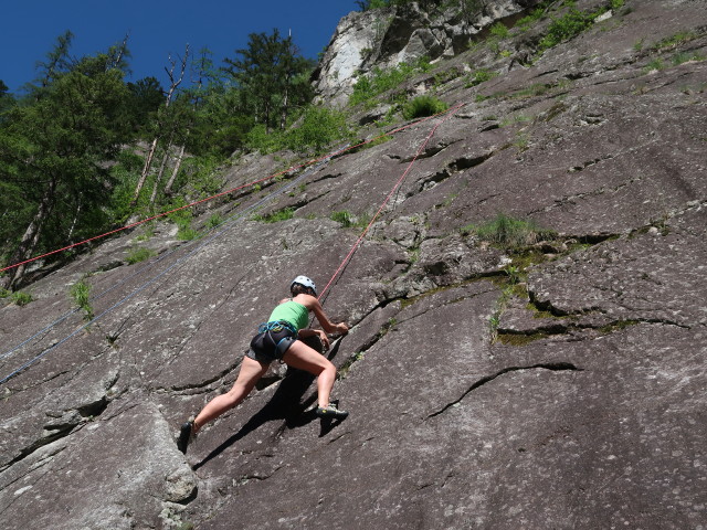 Ursa im Klettergarten Innerfragant
