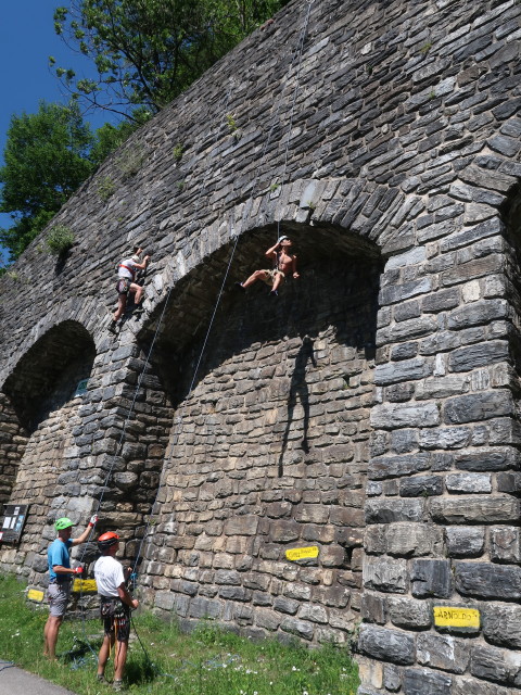 Frank, ich, Josef und Rashid im Klettergarten Kaponig, 1.050 m