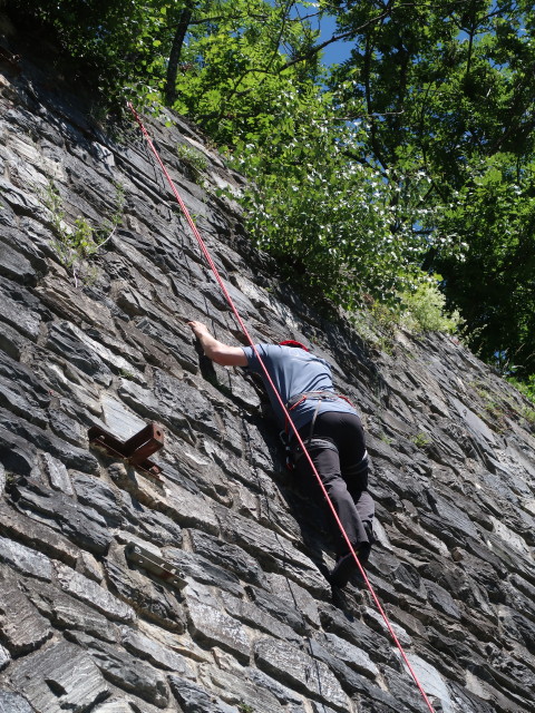 Werner im Klettergarten Kaponig, 1.050 m