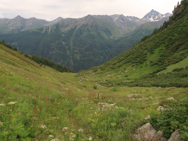 Rudigierweg zwischen Riepasee und Ulmich (21. Juli)