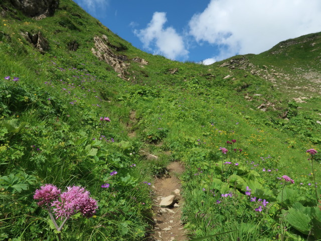 zwischen Ravensburger Hütte und Spullerschafberg