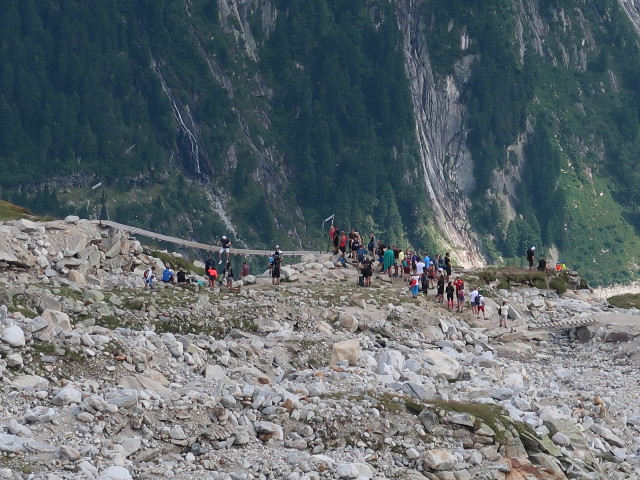 bei der Olpererhütte (9. Aug.)