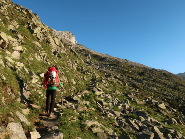 Werner am Berliner Höhenweg zwischen Olpererhütte und Falschseitenbach (10. Aug.)