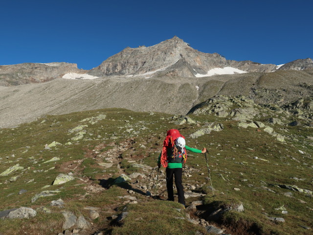 Werner am Berliner Höhenweg zwischen Falschseitenbach und Lapenkarbach (10. Aug.)