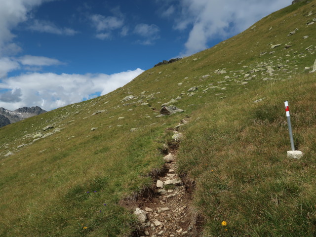 zwischen Maißboden und Bielerspitze (15. Aug.)