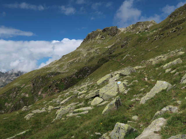 zwischen Maißboden und Bielerspitze (15. Aug.)