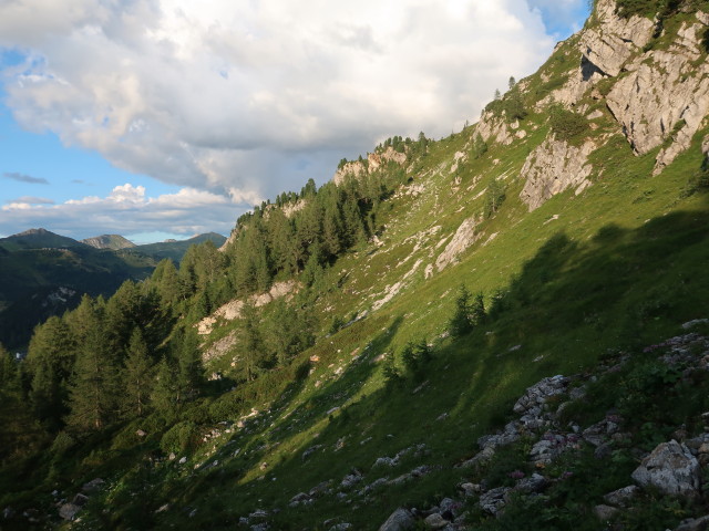 zwischen Bödenalm und Wildsee (21. Aug.)