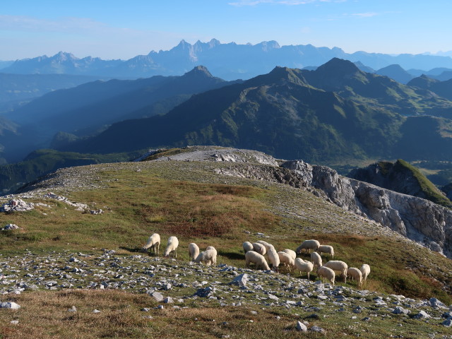 von der Glöcknerin Richtung Norden (22. Aug.)