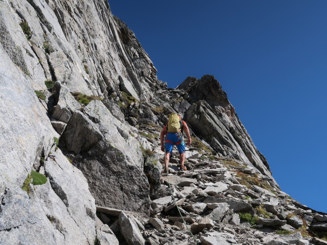 Zsigmondyspitze-Südgrat: Axel